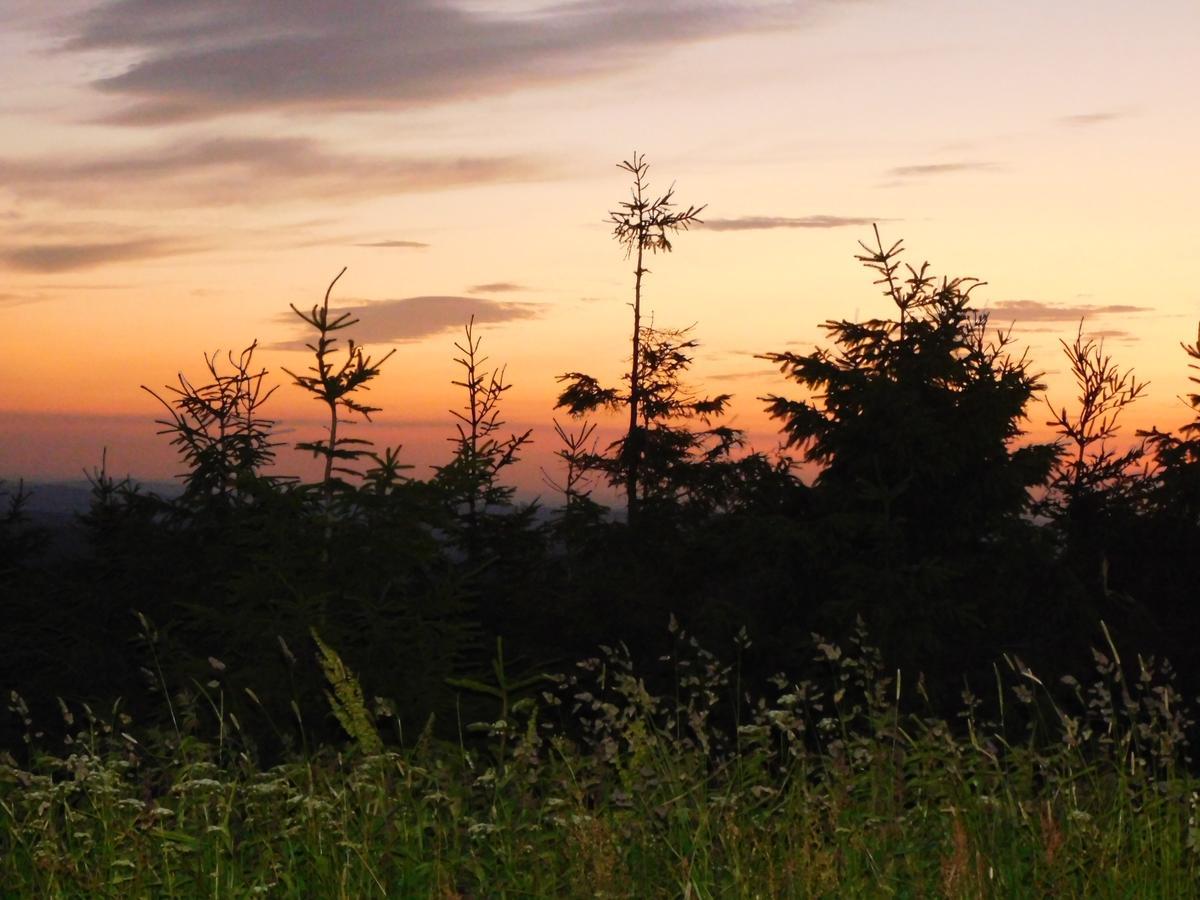 Rathaushotels Oberwiesenthal All Inclusive Bagian luar foto